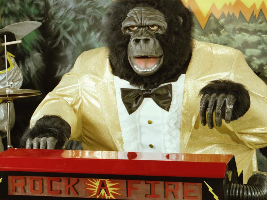 Rock-afire Gallery Image